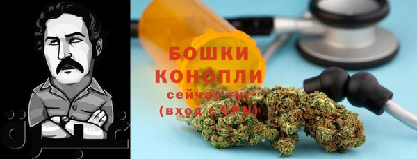 PSILOCYBIN Абаза