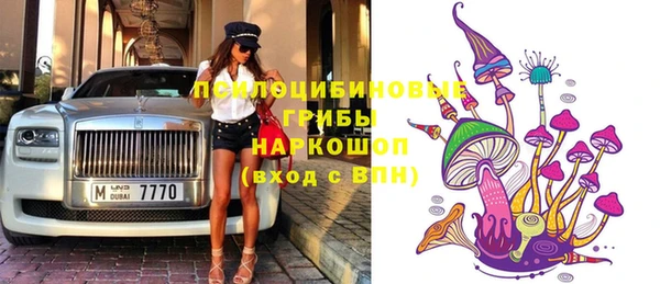PSILOCYBIN Абаза