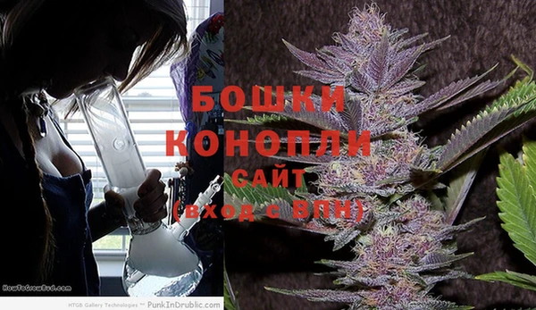 PSILOCYBIN Абаза