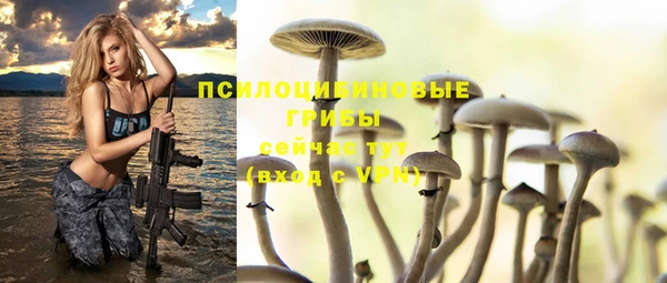дмт Абинск